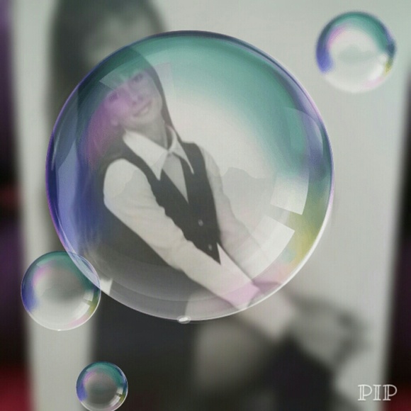 Meet your Posher, Tara - Picture 4 of 4